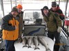 (11/18/2015) - Nice Striped Bass